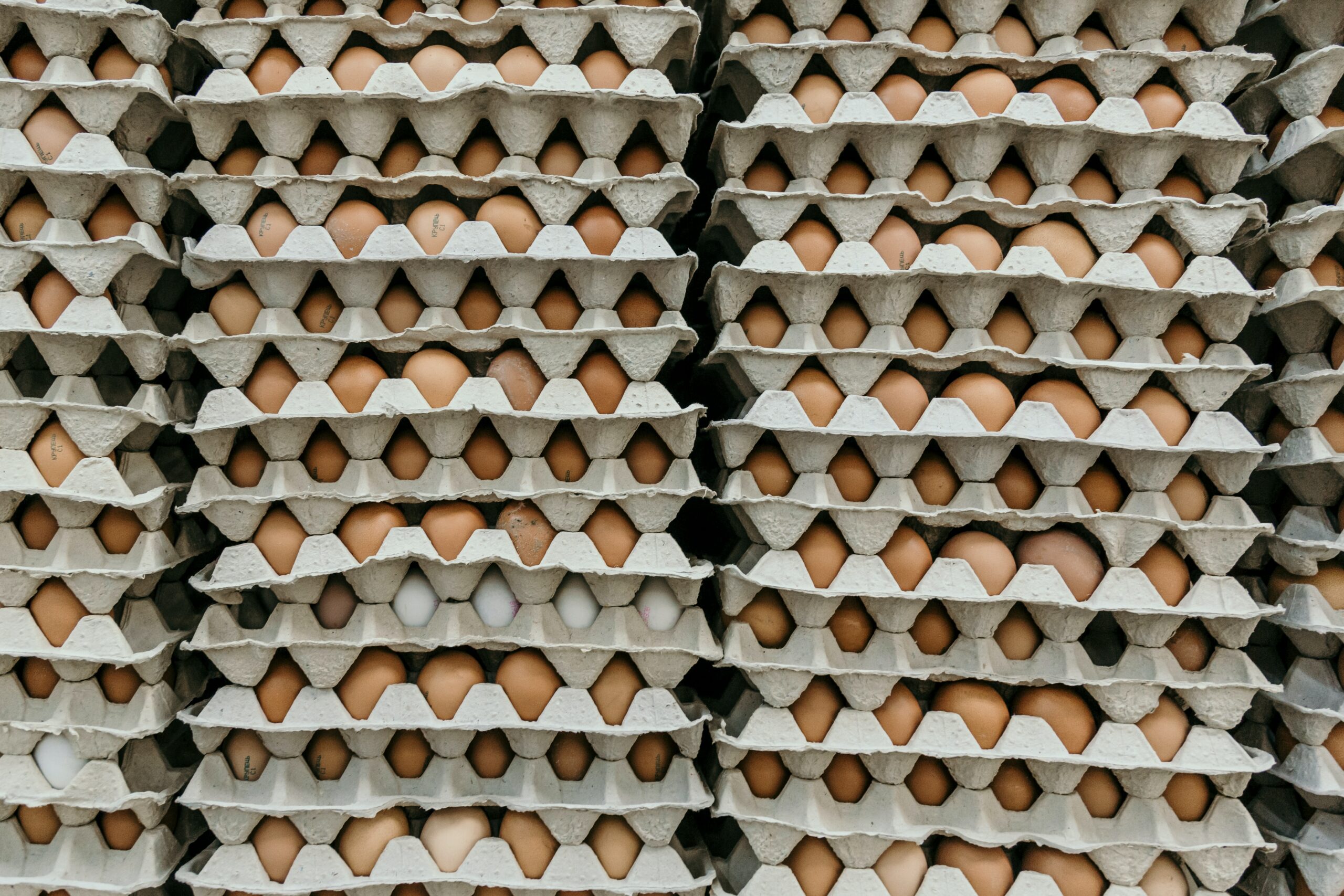 Rising costs and EU imports: the fallout of the UK egg shortage